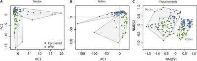 Crop Domestication Alters Floral Reward Chemistry With Potential Consequences for Pollinator Health